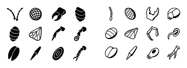 Isometric Insect Anatomy Icons