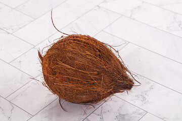 Tropical exotic brown haired coconut