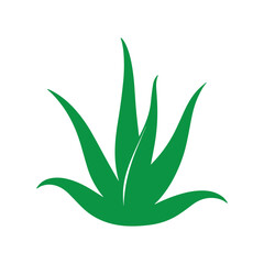 Aloe vera logo symbolizing purity, health, and natural organic skincare