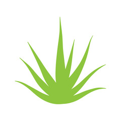 Minimalist aloe vera plant design for herbal cosmetic and spa wellness identity