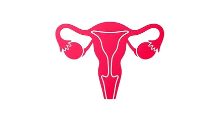 Vibrant pink uterus and ovaries icon symbolizing women's health and reproduction, perfect for medical or educational content