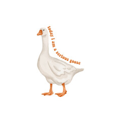 today I am a serious goose	