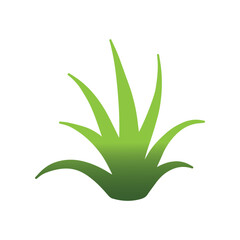 Minimalist aloe vera silhouette created for cosmetic wellness and eco friendly spa branding