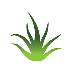 Aloe vera minimalist logo symbolizing modern herbal wellness and skincare