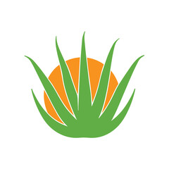 Aloe vera plant design representing nature, healing, and sustainable beauty lifestyle
