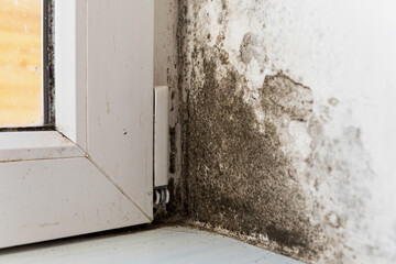 Severe black mold and mildew spreading on white house wall near window frame from dampness....