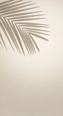 Obraz premium Tropical palm leaf silhouette isolated on white background