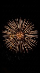 Obraz premium Spectacular golden fireworks exploding in dark night sky