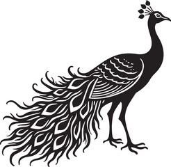 Fototapeta premium illustration of peacock 100% editable 