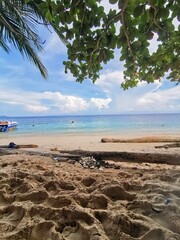 tropical beach with palm trees