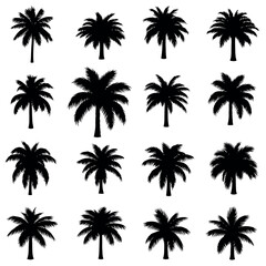 Vector illustration of collection of various palm tree silhouettes