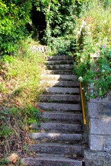 Staircase leading upward into dense greenery, bordered by wild plants and a yellow handrail.