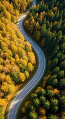 Winding road through colorful autumn forest with vibrant foliage