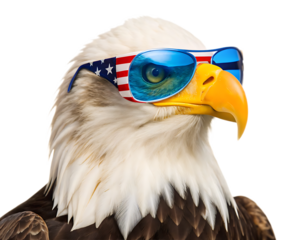 Close up of bald eagle wearing american flag sunglasses on a white background looking at the camera