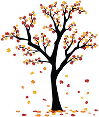 Autumn trees,Vector flat maple tree isolated. single maple with orange and red leaves on white background. Autumn season.