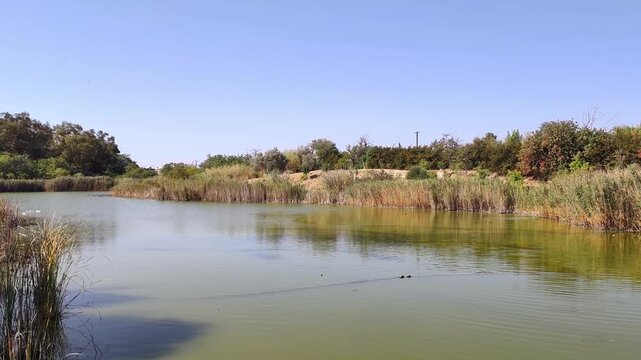 View of Lake Acheloida, a serene wetland in Antonis Tritsis Metropolitan Park, Ilion, Attica&mdash;the largest park in Attica, devoted solely to environmental awareness and education.