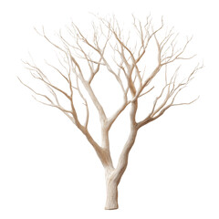 Obraz premium Striking bleached tree branches with stark contrast against an illuminated setting