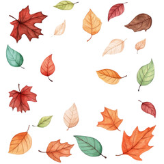 Obraz premium Autumn leaf watercolor red orange green brown scattered seasonal nature isolated