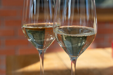 Sophisticated and Elegant Wine Glasses Filled with Sparkling Beverage