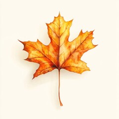 Obraz premium Fallen floating Maple Leaf maple leaf illustration.