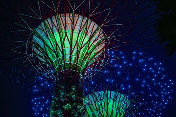 garden by the bay at night in Singapore
