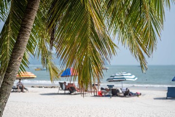 tropical beach with palm trees and umbrellas