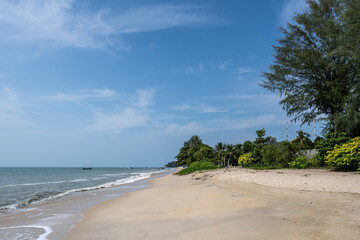 tropical beach with palm trees and blue sky