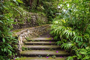 stone staircase in the green Unesco gardens of Penang Hill
