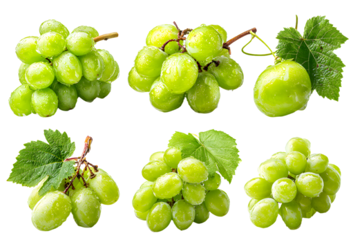 Green grapes collection featuring whole fruits and custered bunches with leave, fresh ripe berries displyed in natural form, isolaed presentation with organc set for healthy food conept