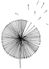 Delicate dandelion seeds carried on a gentle breeze, symbolizing wishes and new beginnings.