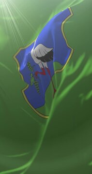 Flag of Heves County, Hungary. Loop. 4K Vertical