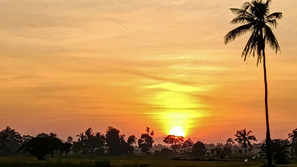 A beautiful morning view. The sun was just rising, its orange hues. The sky was a beautiful blend of blue and orange.