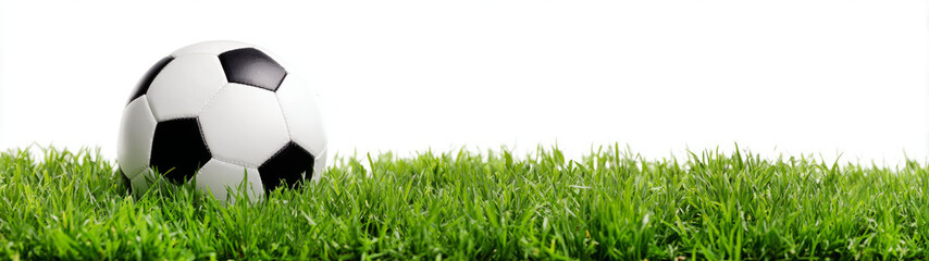Fototapeta premium soccer ball on green grass on white background