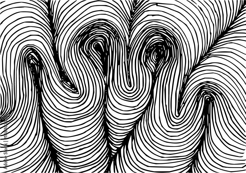 Wall mural dynamic abstract black and white line art pattern creating depth and movement