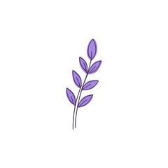 Purple Lavender Sprig: Botanical Illustration for Design Projects