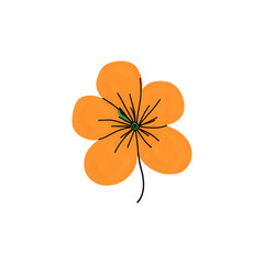 Vibrant Orange Flower:  Botanical Illustration, Floral Design Element, Nature Graphic