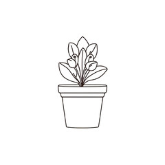 Dark Background with Illuminated Potted Plant