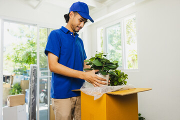 delivery man in blue shirt check Parcel box pack in office