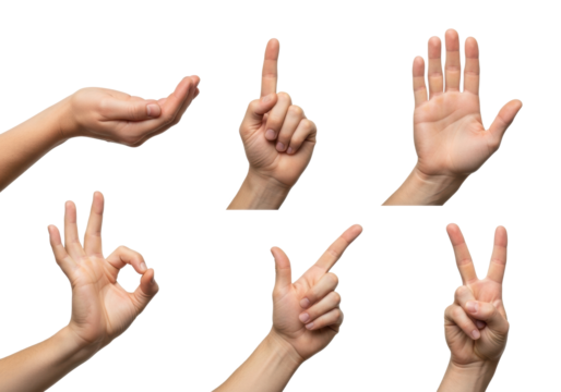 Multiple fair-skinned adult hands displaying diverse gestures: cupped, pointing, OK, V-sign, on a transparent studio background, concept of non-verbal communication