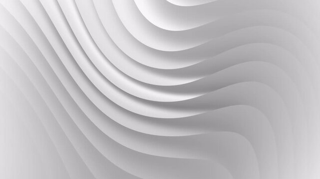 3d animation of white gray curve waves flowing abstract motion background. Seamless loop animation background. 4k 60 fps, Ultra HD. White 3D volumetric background. Slow wave movements of lines.