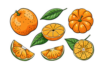 Fresh orange. Big vector collection of fresh oranges. Orange fruit isolated on white background.
