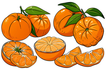 Fresh orange. Big vector collection of fresh oranges. Orange fruit isolated on white background.
