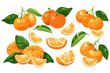 Fresh orange. Big vector collection of fresh oranges. Orange fruit isolated on white background.
