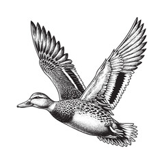 duck flying for migration in Detailed Engraving Style Black and White 