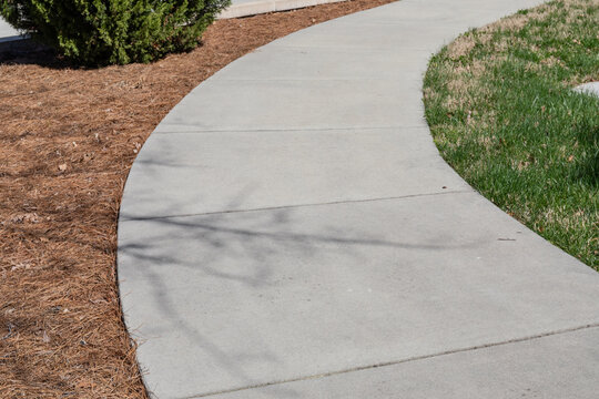 Sweeping concrete walkway flanked with grass and pine straw landscaping, creative copy space for walking theme, horizontal aspect