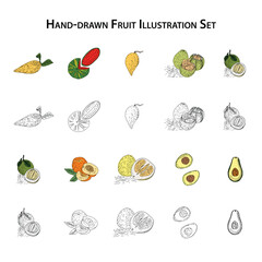 Hand-drawn fruit illustration set with watermelon, jackfruit, durian, mangosteen, melon, peach, avocado, and more in both colored and vintage black-and-white sketch styles