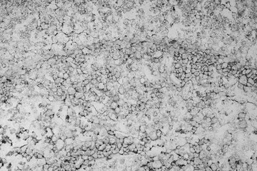 clean concrete background texture close up. stone cement wall.