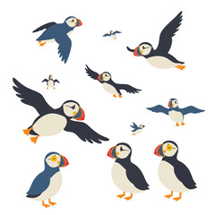 A charming collection of illustrated Atlantic puffin seabirds in various flying and standing poses.