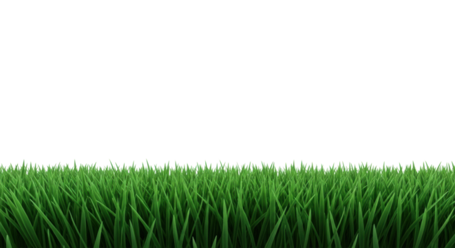 Vibrant emerald green grass blades with subtle dew drops, manicured and distinct, forming a lush border at the bottom from a macro low-angle shot against a transparent background with copy space,