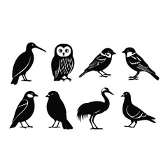 A diverse collection of eight bird species illustrated as black graphic silhouettes and icons.